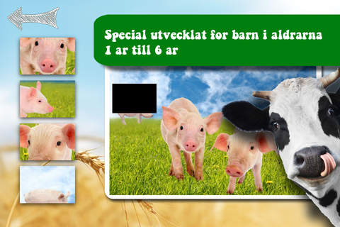 Free Shape Game Farm Animals Photo screenshot 2