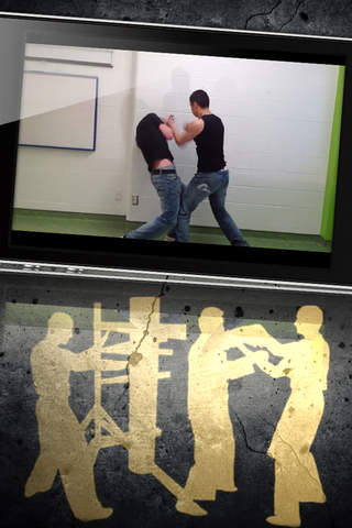 Wing Chun Kung Fu Self Defense screenshot 4