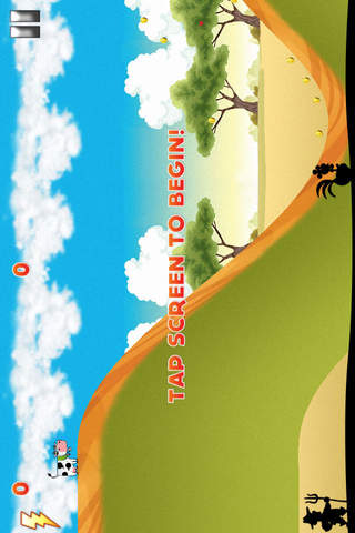 iPhone Screenshot 5