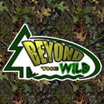 Beyond The Wild 運動 App LOGO-APP開箱王