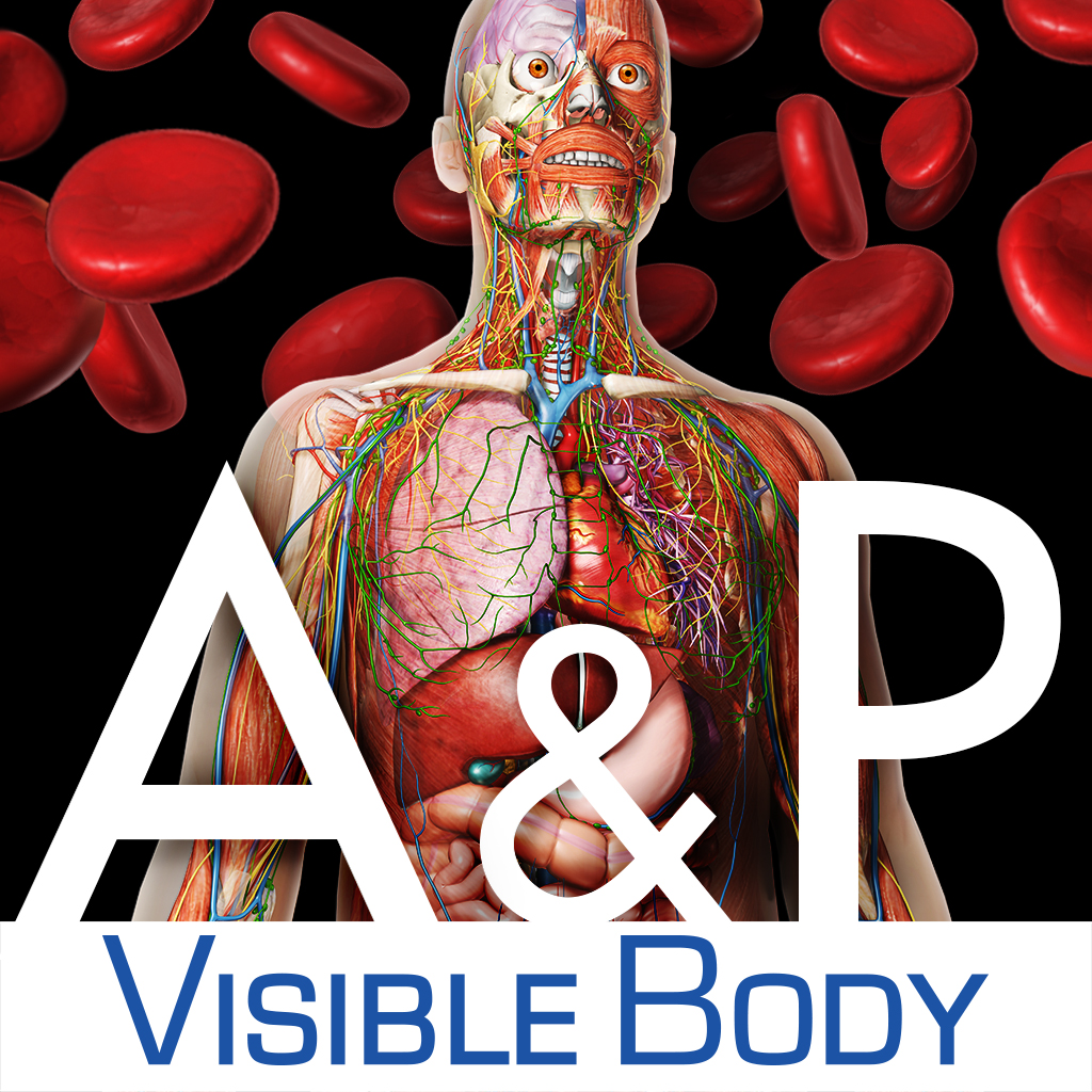 Visible Body Anatomy