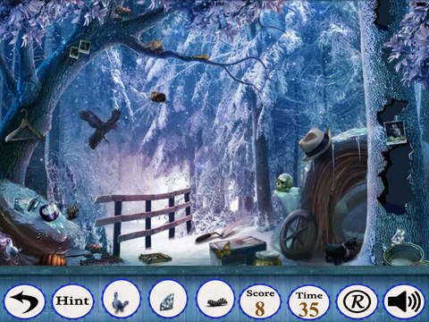 【免費遊戲App】Hidden Objects:A Frozen Adventure-APP點子