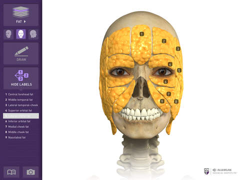 Interactive Anatomy - ZA screenshot 2