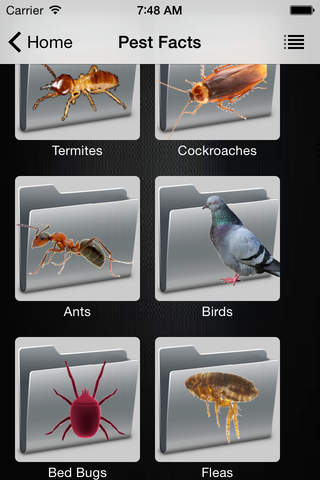 Pest and Property screenshot 2