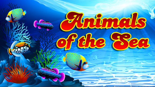 Animals of the Sea Slots Hidden Treasure for Casino Game Pro