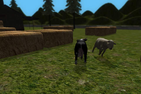 Crazy Cow Simulator - Free screenshot 4