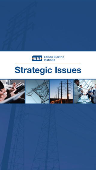 EEI Strategic Issues