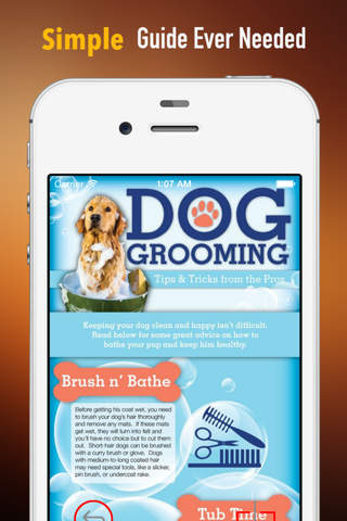 Dog Grooming 101:DIY Tips and Tutorial screenshot 2