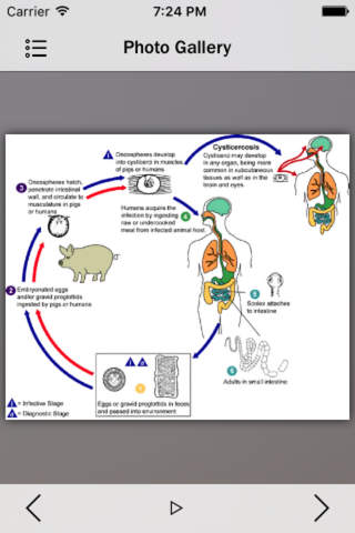 Infectious Diseases Info screenshot 3