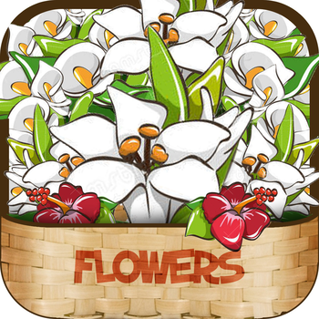 Video Tutorial for Flower Handmade 2015 - Learning Flower Handmade Trainning Course Online LOGO-APP點子