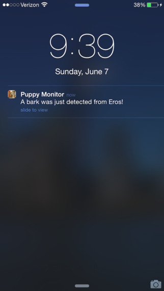 Puppy Monitor