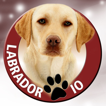 Labrador IO LOGO-APP點子