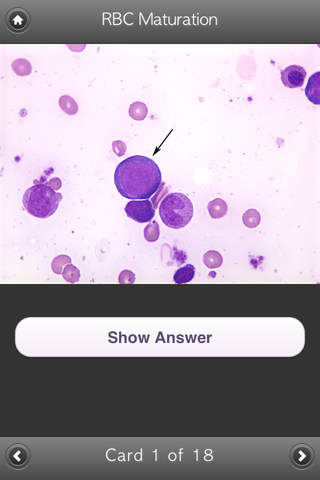 BYU Hematology screenshot 3