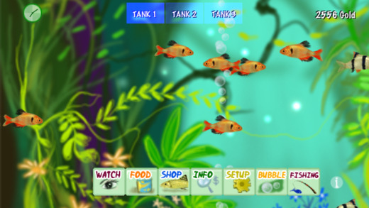 FreshWater Aquarium