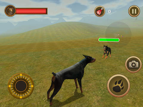 免費下載遊戲APP|Dog Survival Simulator app開箱文|APP開箱王
