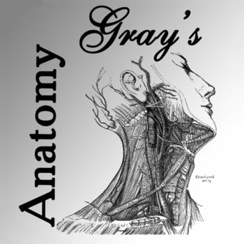 Gray's Anatomy 2014 LOGO-APP點子