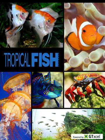 【免費教育App】Tropical Fish Hobbyist magazine-APP點子