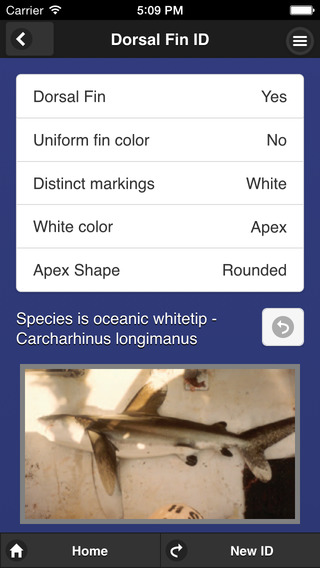 【免費書籍App】Shark Fin Identifier-APP點子