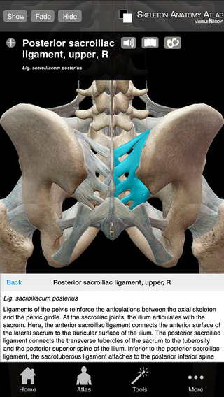 【免費醫療App】Skeleton Anatomy Atlas: Essential Reference for Students and Healthcare Professionals-APP點子