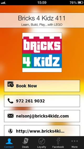 Bricks 4 Kidz 411