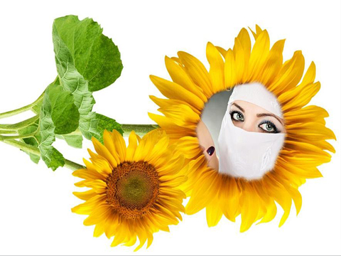 免費下載攝影APP|Sunflower Photo Frames app開箱文|APP開箱王
