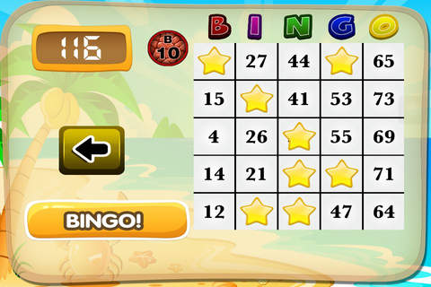 Fun Bingo Fortune Featuring Play & Spin the Wheel Casino Bash Hd Pro screenshot 2