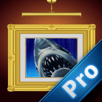 Attack Shark Pro : Shoots And Wins LOGO-APP點子