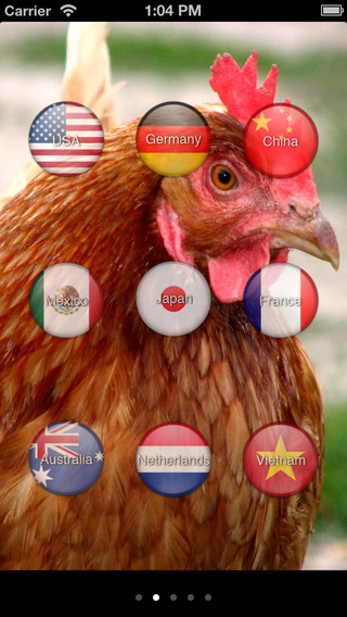 【免費娛樂App】Animal Translate Lite - Sounds from around the world-APP點子