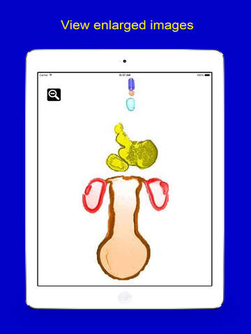 【免費教育App】Dimensional Embryology-APP點子