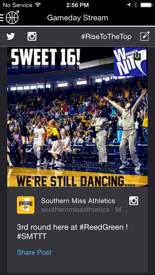Southern Miss Golden Eagles Gameday