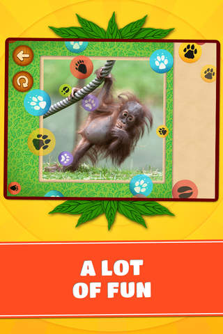 Animals of the World Puzzles – Logic Game for Toddlers, Preschool Kids, Little Boys and Girls screenshot 4