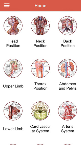 【免費醫療App】Best Human Anatomy-APP點子