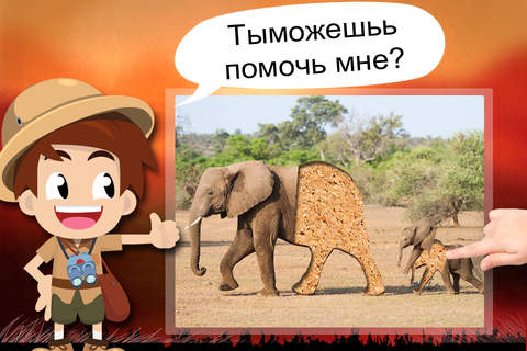 Toddler Tommy Wildlife Photo Free - Wildlife and Safari Animal puzzles screenshot 2