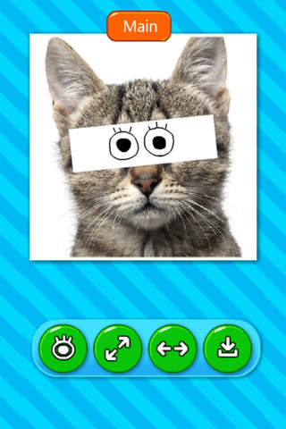 Cat Funny Anime Eyes screenshot 2