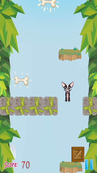 【免費遊戲App】Sparky the Chihuahua Hops Fiercely in a Rocky Long Cliff Pro-APP點子