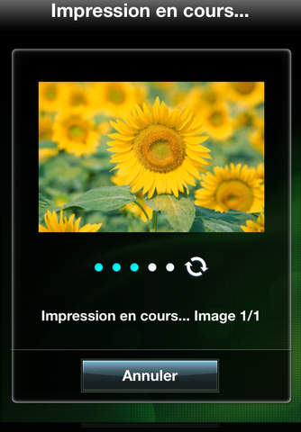 Canon Easy-PhotoPrint screenshot 4