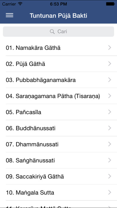 iPhone Screenshot 2