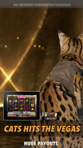 Cats hits the Vegas Slots - FREE Slot Game Spin for Win