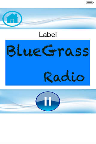 Bluegrass Radios - Top Stations Music Player screenshot 2