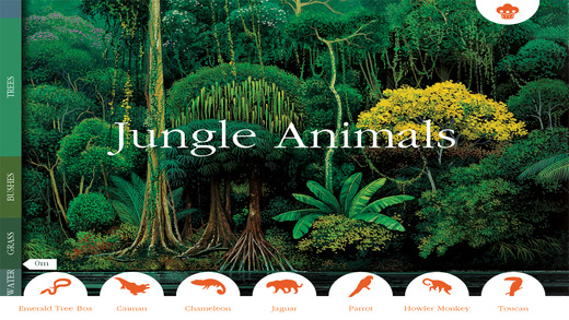 免費下載教育APP|Scholastic First Discovery: The Jungle app開箱文|APP開箱王