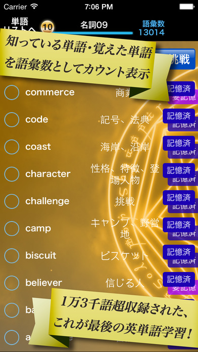 iPhone Screenshot 5