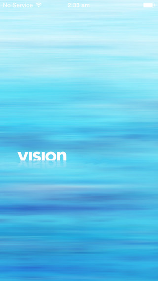Vision: Insights and New Horizons