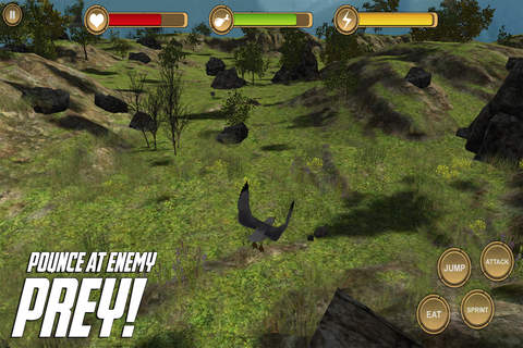 Seagull Bird Simulator HD Animal Life screenshot 4