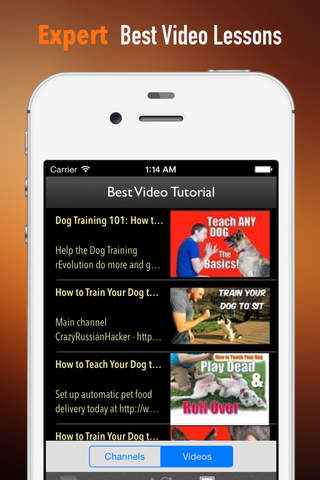 How to Train Your Dog:Puppy Training Guide and Tips screenshot 3