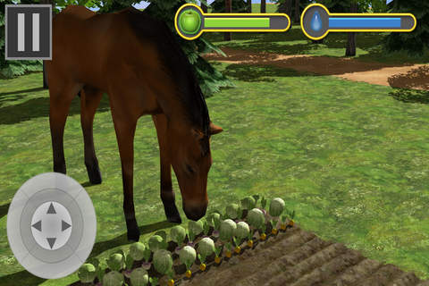 Horse Race Simulator screenshot 2