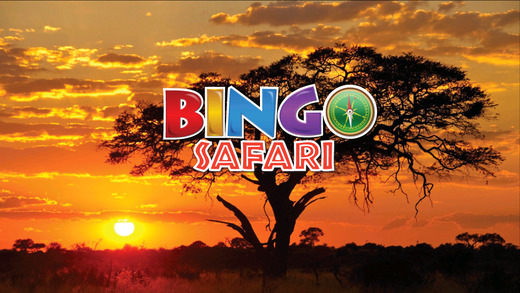 免費下載遊戲APP|Bingo Safari app開箱文|APP開箱王