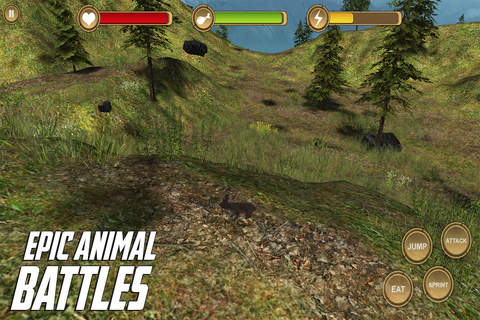 Rabbit Simulator HD Animal Life screenshot 3