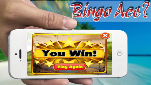 Viking Quest Bingo - Bingo In Your Pocket
