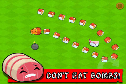 Sushi Dragon! screenshot 3