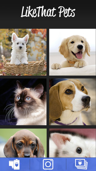 【免費書籍App】LikeThat Pets - Adopt & Find a Pet-APP點子